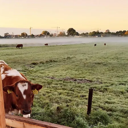 The Grutto, Private 25 Min From Center 4* Amsterdam